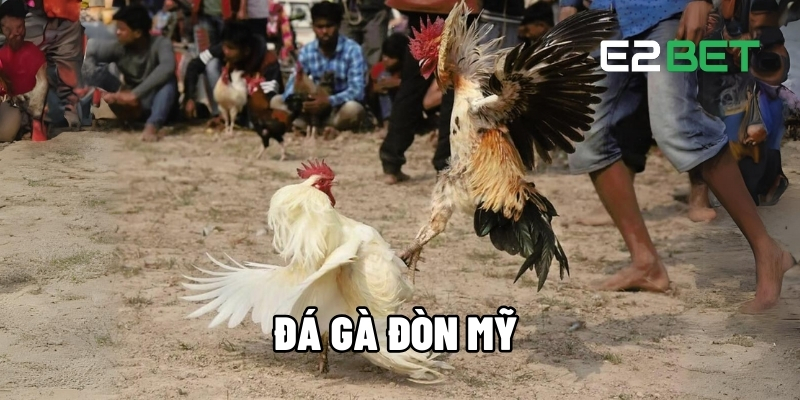da ga don my 1