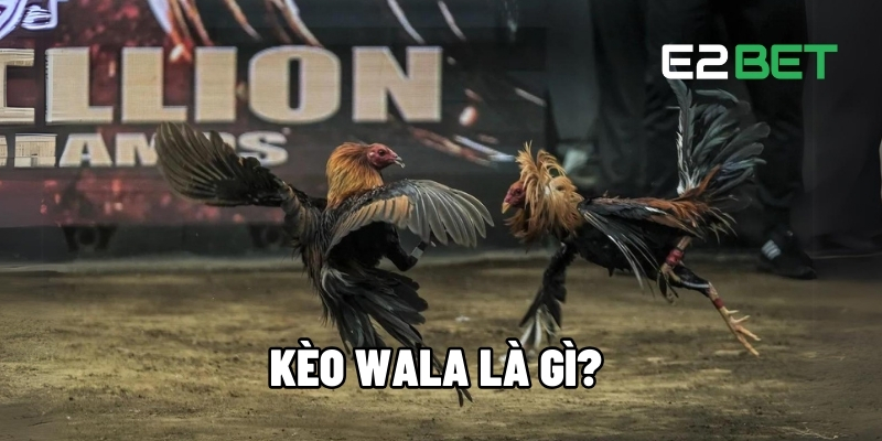 Kèo Wala là gì?
